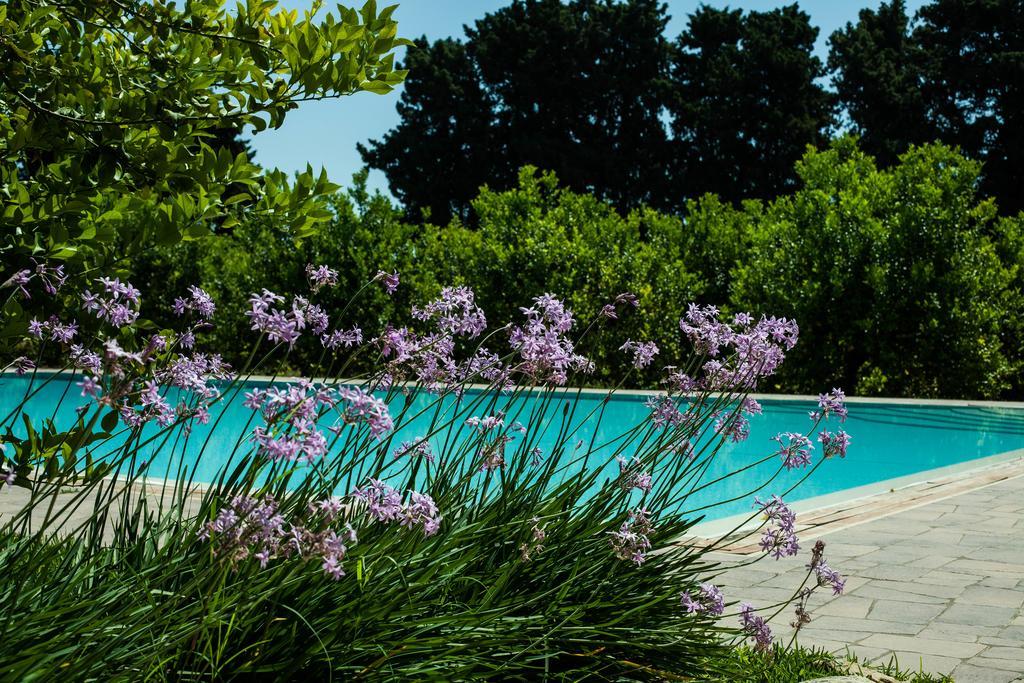 Chiusa Di Carlo Agriturismo アヴォラ エクステリア 写真
